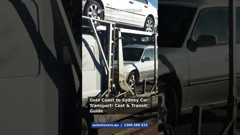 Meet the crew and carriers behind every Gold Coast to Sydney move. Trusted by 10