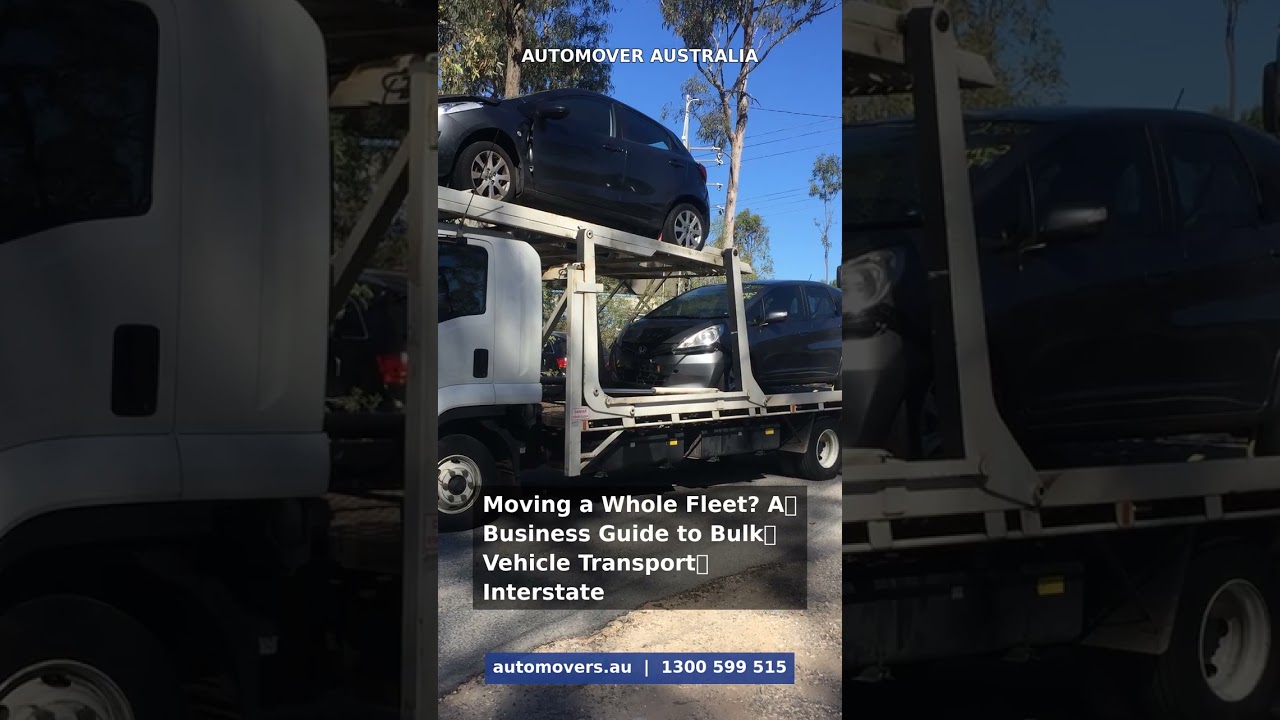 Auto Mover car transport – Relocating a whole fleet interstate? Our new guide covers planning, schedulin