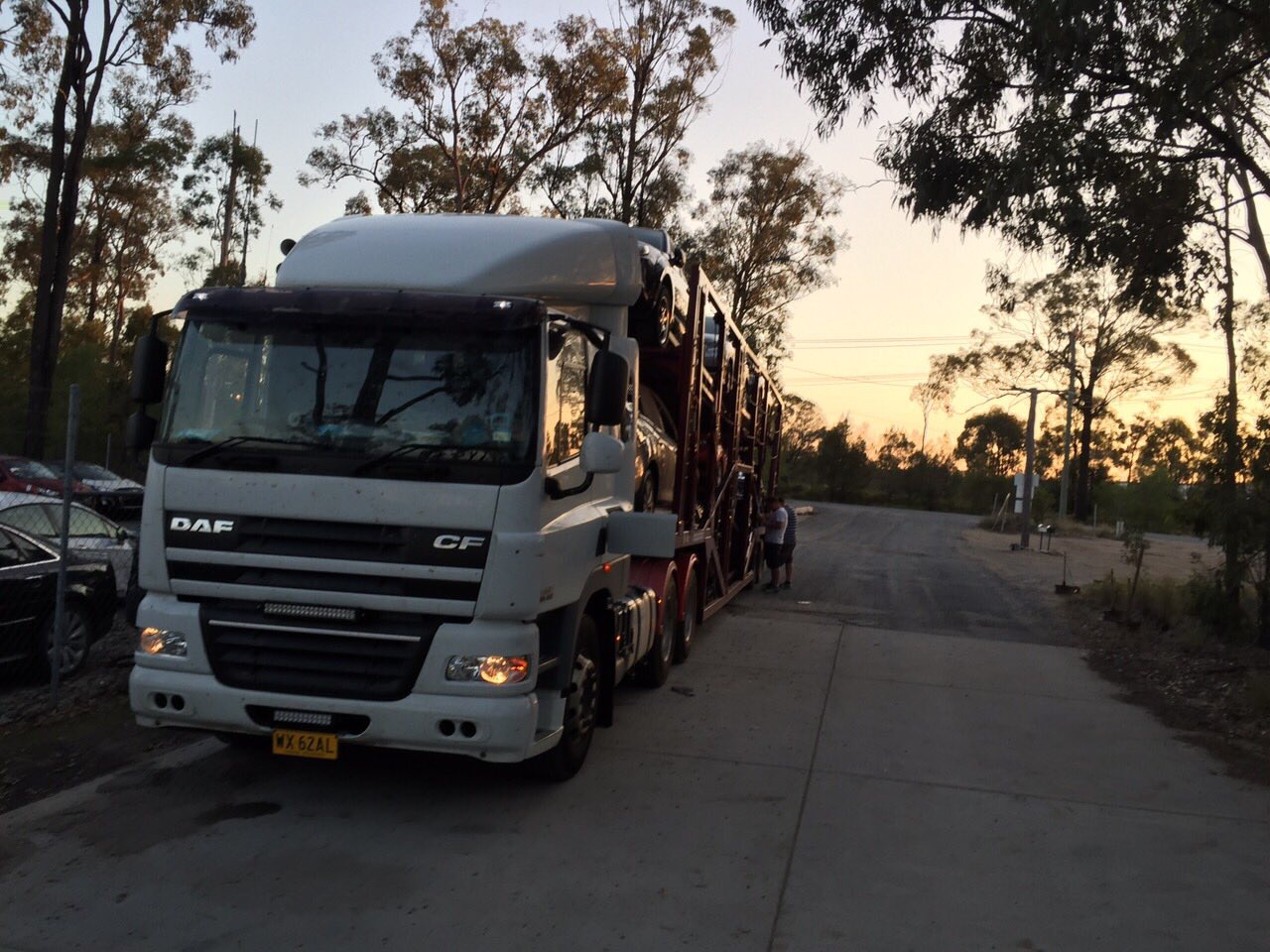 Auto Mover DAF CF Livestock Transport Truck