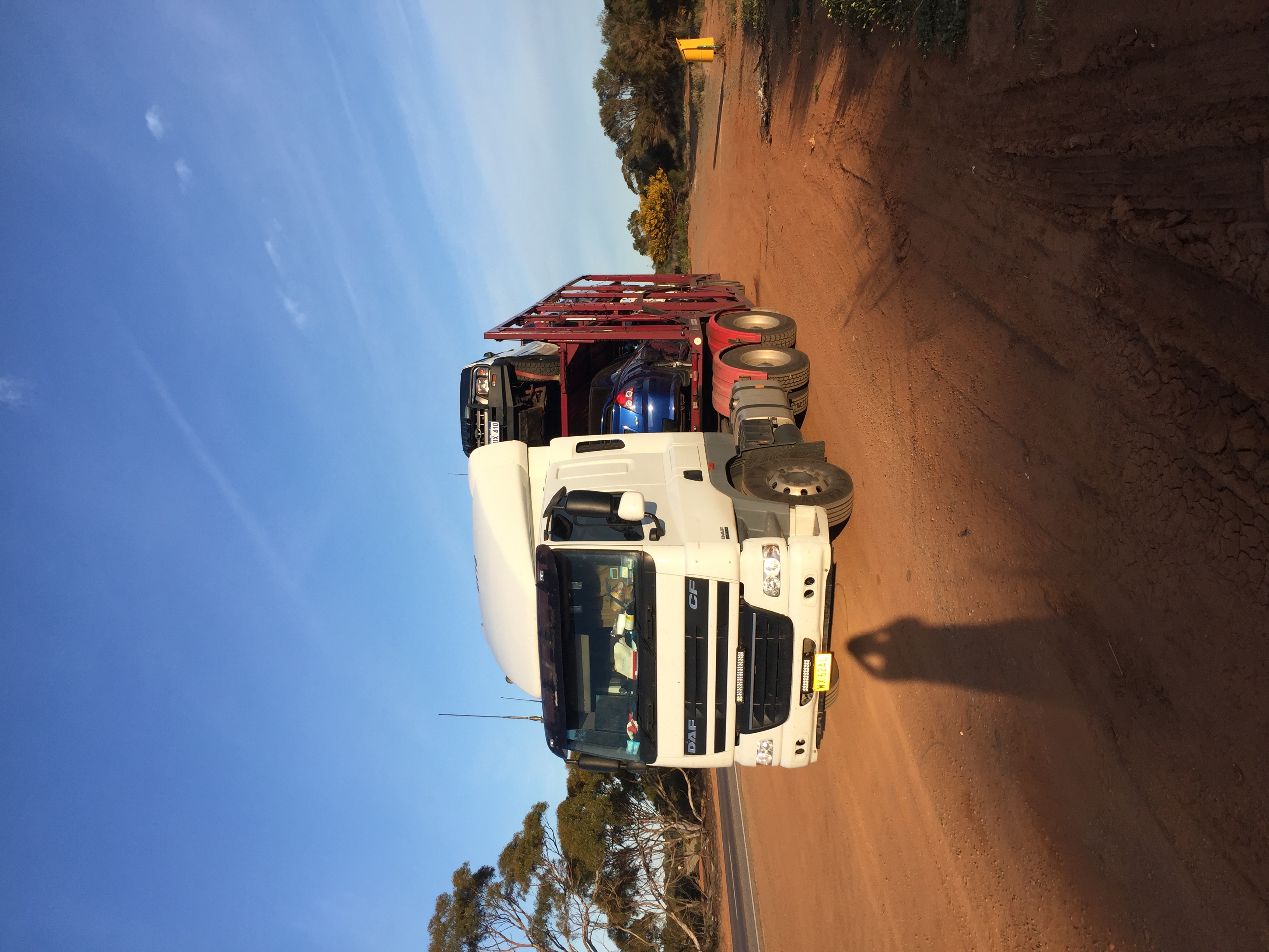 Auto Mover DAF truck transporting vehicle on red carrier