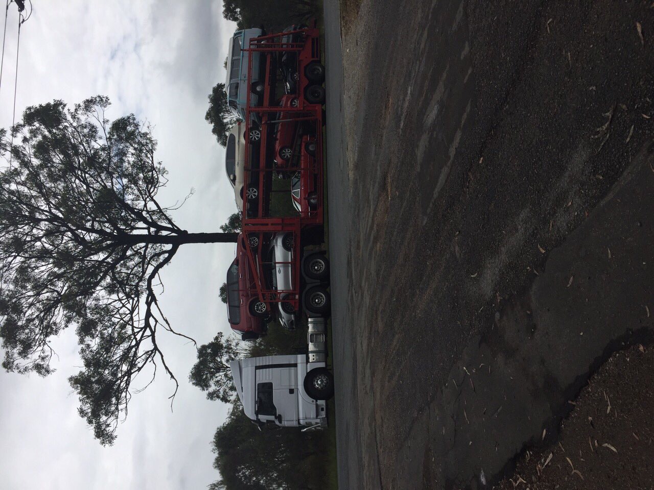 Auto Mover Multi-Vehicle Car Carrier Transport